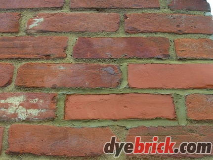 Repair brick 5